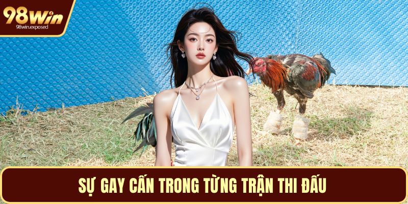 Sự gay cấn trong từng trận thi đấu